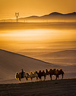 һ��һ·�Ŀ���}